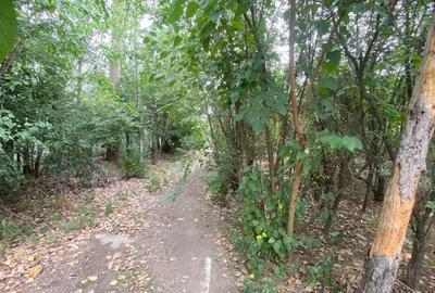 Teren agricol intravilan de 100000 mp, în Central - 8