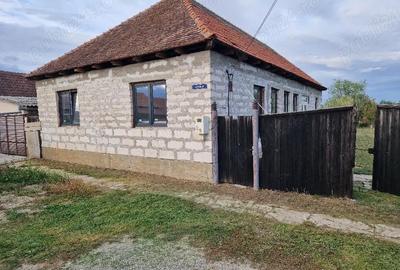 Casă cu Teren 18000 Mp în Central - 2