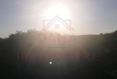 TEREN DE VÂNZARE-32480 mp CARANSEBEȘ JUD.CS,  0% COMISION - 3