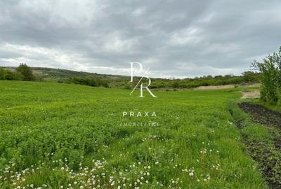 Teren agricol extravilan de 2165 mp, în Exterior Nord - 1