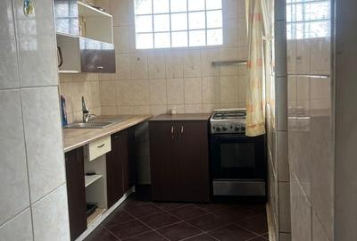 Casă cu 2 camere cu Teren 90 Mp în Sălaj - 4