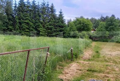 Teren de 1755 mp, în Făget