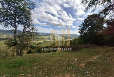 Teren  Intorsura Buzaului Dealul Frumos - 9