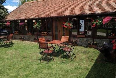 RESTAURANT DE VÂNZARE-COM. OBREJA\SAT IAZ\CARAȘ SEVERIN - 7