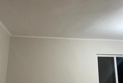 Spațiu comercial, de 80 mp, în Luncă - 4