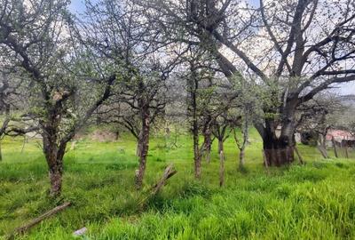 Spațiu comercial, în Gemenea-Brătulești - 3