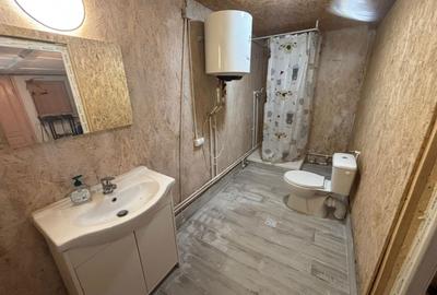 Casă cu 3 camere în Dosu Bricii