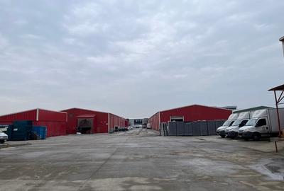 Inchiriere Hala Stefanesti - 4