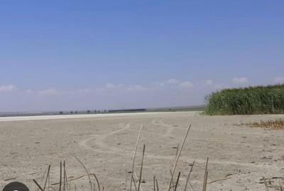 Teren sosea DN72Targoviste-Teren intravilan Industrial 12Ha Arges-Teren Navodari - 11