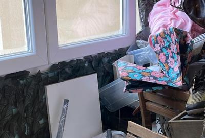 Colentina Teiul Doamnei - 6