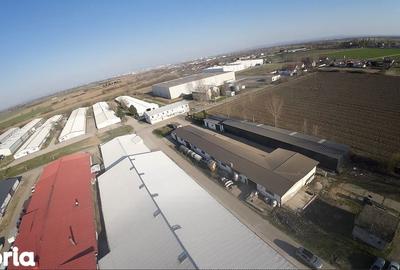 Spațiu comercial, de 580 mp, în Vetiș - 2