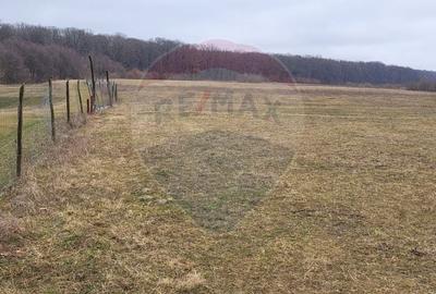 Teren 2925 mp comuna Mitocu Dragomirnei - 19