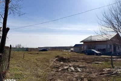 Teren de 1100 mp, în Crevedia - 3