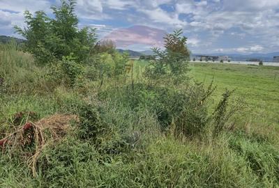 Teren 2,411mp Sighetu Marmatiei / Strada Teplitei - 2