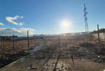Teren de 10600 mp, în Viișoara - 1
