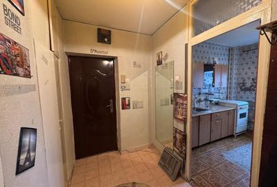 2 Camere Campia Libertatii Pet friendly - 12