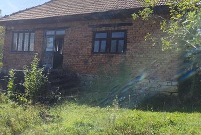 Casă cu 2 camere cu Teren 40 Mp în Vălișoara - 6