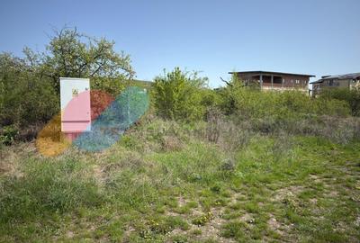 Teren intravilan 1000 mp, zona Giuseppe Verdi Teren intravilan 1000 mp, zona Giuseppe Verdi - 4