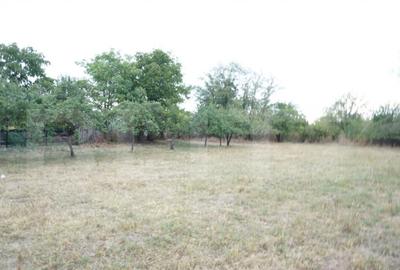 Teren intravilat 1777 mp, front 16 m, zona centru Aricestii - 4