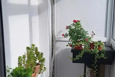 Inchiriez garsoniera zona metrou - 4