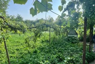 Casă cu 3 camere cu Teren 800 Mp în Siret - 3