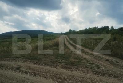 Teren de 5100 mp, în Sigmir - 1