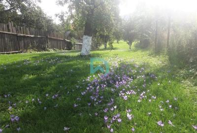 Casă individuală cu 4 camere cu Canalizare în Central - 9