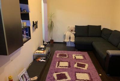 Apartament cu 2 camere semidecomandat în Valea Rosie