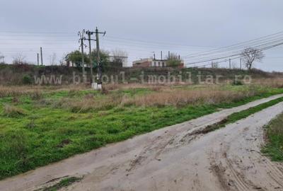 Teren Intravilan 5.000 mp – Perfect pentru Parc Fotovoltaic, Hale sau Lotizare - 3