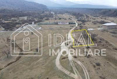 Teren agricol extravilan de 1500 mp, în Cârțișoara - 2