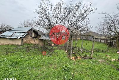 Casă cu 3 camere cu Teren 2100 Mp în Valea Nucarilor - 2