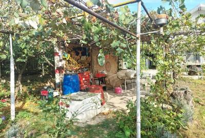 PROPRIETATE SUPERBA IN BIBIRESTI - 4