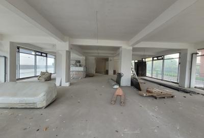 Inchiriere spatiu comercial stradal - Sos Mangaliei Supeco - 5