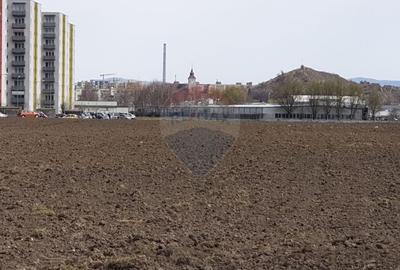 Teren 33088 mp,  Avantgarden Bartolomeu - 8