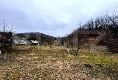 Teren în Stremț - 5