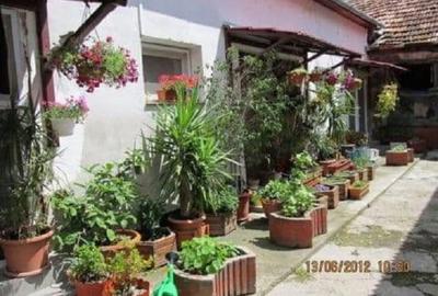 Casă cu 5 camere cu Teren 500 Mp în Aradul Nou - 4