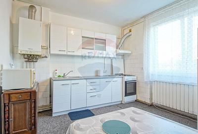 Apartament cu 3 camere de inchiriat in zona Centrul Civic - 11