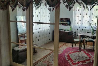 Casa cu 2 camere, in comuna Jichisu de jos - 5