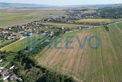 Teren Construcții intravilan de 7366 mp, în Sărata (Sărata) - 3