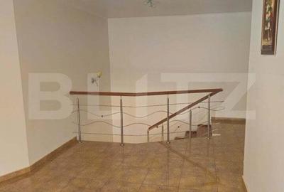 Oportunitate Unica Vila de Vis in Zona Centrala si doua spatii comerciale - 20