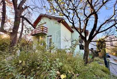 Casa renovata , pentru firme -  Buna Ziua / Fagului Casa renovata , pentru firme -  Buna Ziua / Fagului - 9