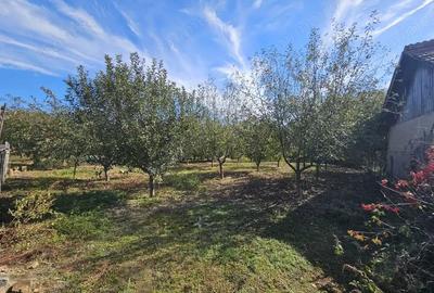 Vanzare teren *intravilan 308 mp cu utilita?i* - Sat Ceauru, Comuna Bale?ti - 2