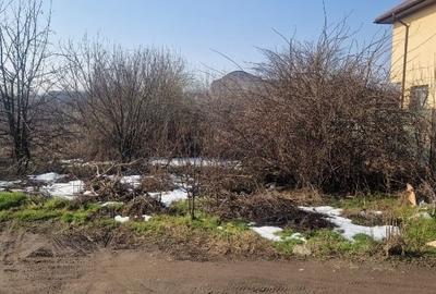 Teren Construcții intravilan de 409 mp, în Jilava - 4