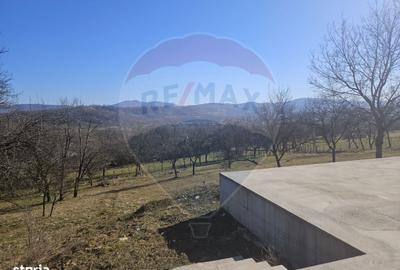 Spațiu comercial, în Bârsana - 6