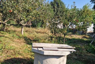 Casă cu 4 camere în Soci - 15