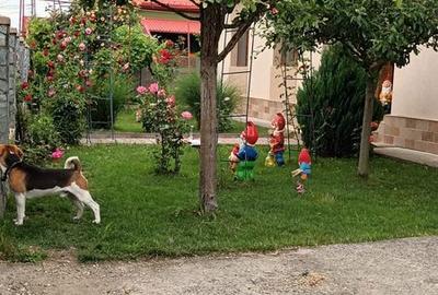 Casă cu 4 camere în Central - 5