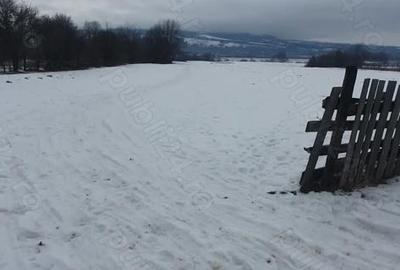 Teren de 3200 mp, în Capu Câmpului - 2