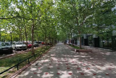 Apartament cu 3 camere decomandat în Unirii - 2