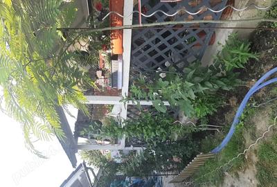 Casa de vanzare Sannicolau Mare - 3