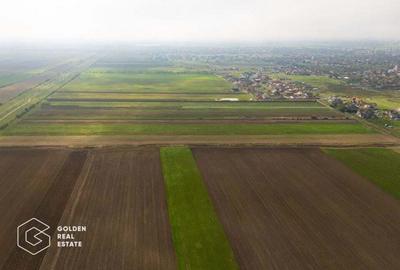 Parcele de 500 mp in Livada, cu toate utilitatile la strada Parcele de 500 mp in Livada, cu toate utilitatile la strada - 9